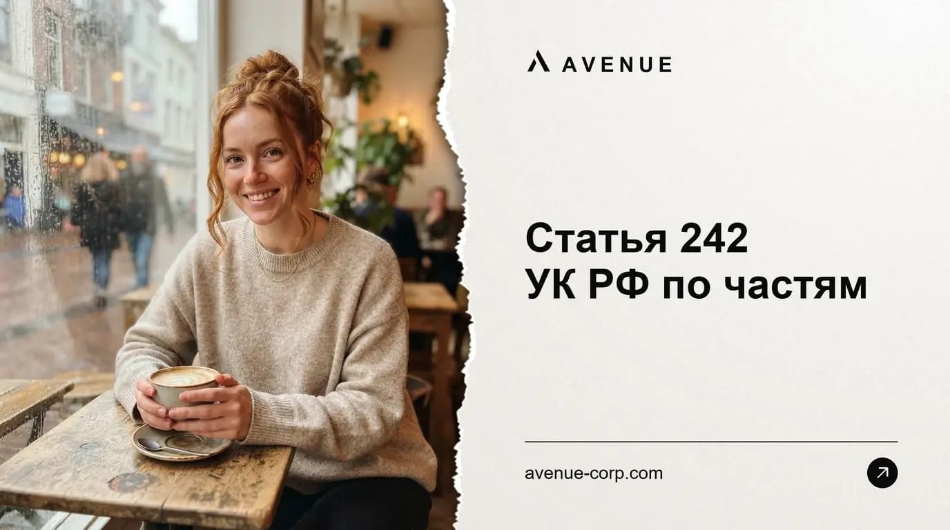 Статья 242 УК РФ по частям